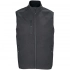 Falcon BW Men Vest, dark gray