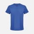 Unisex Regent V-neck T-shirt, bright blue (royal)