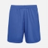 Unisex Thunder royal blue shorts.