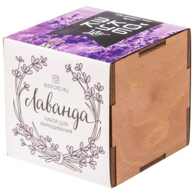 
                                            Набор для выращивания «Экокуб Lite», лаванда
                                            