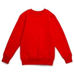 Kids' sweatshirt Toima 2.0 Kids, red