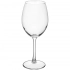 Enoteka Wine Glass