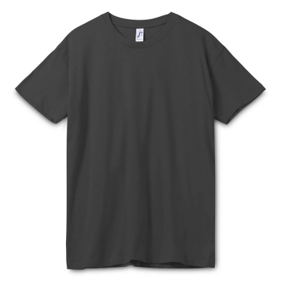 
                                                Unisex Regent 150 T-shirt, dark grey (graphite)
                                                