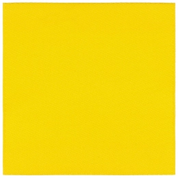 Fabric label Epsilon, L, yellow