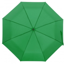 Monsoon folding umbrella, green