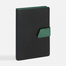 Ежедневник Boom, недатированный, черный с зеленым