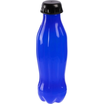 
                                                Blue Coola water bottle.
                                                