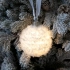 Christmas tree ornament Snowglow