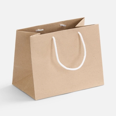 
                                                Stor paper bag, uncolored with white handles.
                                                