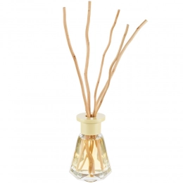 Aromatic diffuser Bloomfield, pine and cypress.