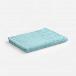 Hoya large blue terry towel.