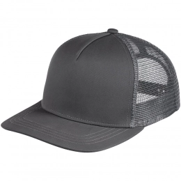 Seguro Air gray baseball cap.
