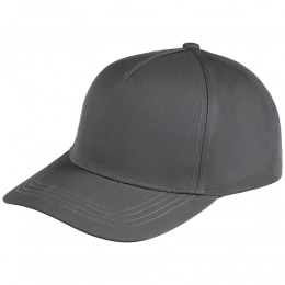 Seguro gray baseball cap.