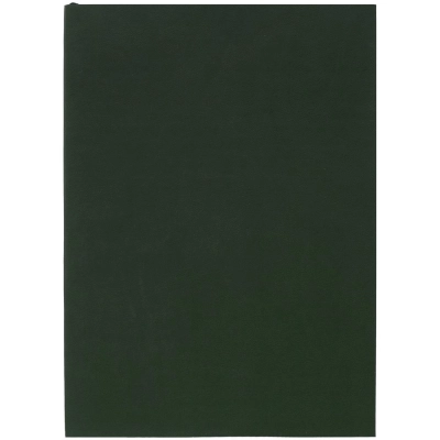 
                                            Ежедневник Flat Light, недатированный, зеленый
                                            