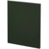 Flat Maxi undated green diary.