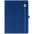 Favor Gold undated blue diary.
