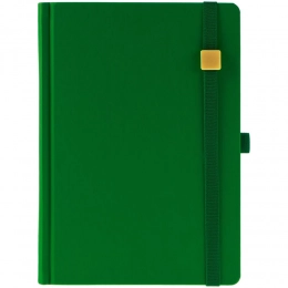 Favor Gold daily planner, undated, bright green.