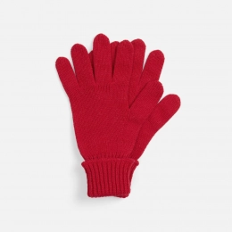 Alpine gloves, red (clove)