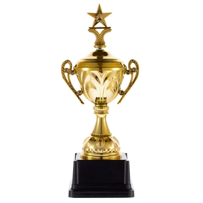 
                                                Кубок Top Star, золотистый
                                                