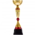 Awardee Cup, big, red