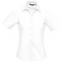 Women's Short sleeve Elite shirt, white