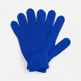Nobilis Mono gloves, royal blue