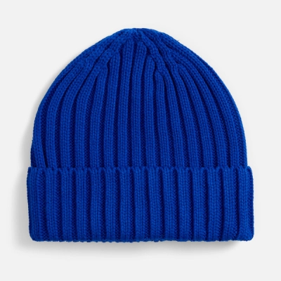 
                                                Bright blue Faculty cap.
                                                