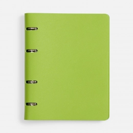 Ежедневник Ringo, недатированный, зеленый