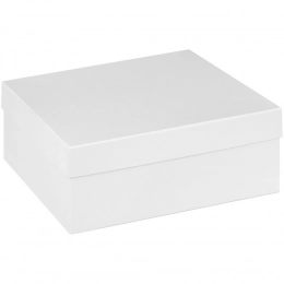 Recollection white box.