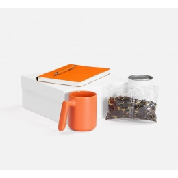 Flex Shall Tea set, orange