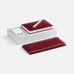 Faro Energy set, burgundy