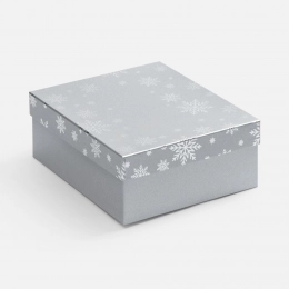 Коробка Wintry, серебристая