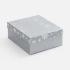 Wintry, silver box.