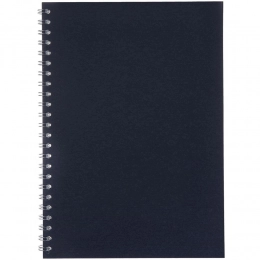 Salvador's notebook in a checkered pattern, blue.