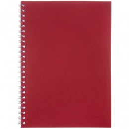 Salvador's red checkered notebook.