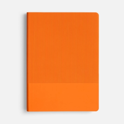 
                                                Vale New undated orange diary.
                                                