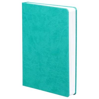 
                                                Dated turquoise Basis daily planner.
                                                