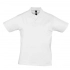 Prescott Men 170 Men's polo Shirt, white