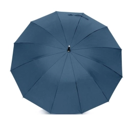 Umbrella with 12 panels
