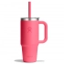 710 ML TRAVEL TUMBLER WITH CLEAR LID IN POPSTAR PINK