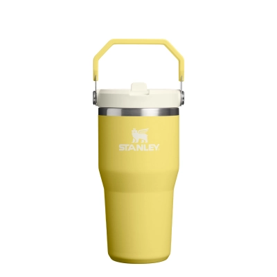 
                                                Stanley IceFlow Flip Straw Mug 0.6L
                                                