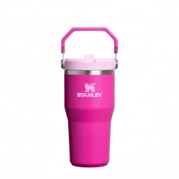 The IceFlow Flip Straw 2.0 Tumbler 0.6L / 20oz Cup