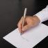 Ballpoint Pen Gear Icon Camel
