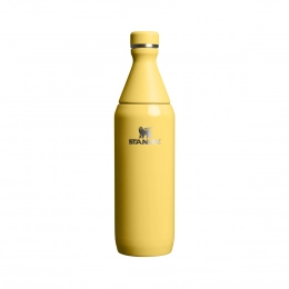 Бутылка Stanley All Day Slim 0.6 л