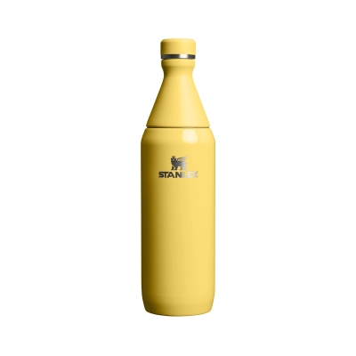 
                                                Бутылка Stanley All Day Slim 0.6 л
                                                