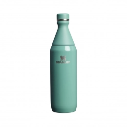 Бутылка Stanley All Day Slim 0.6 л