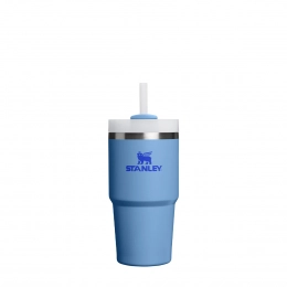Stanley Quencher H2.O FlowState 0.6 Ð»