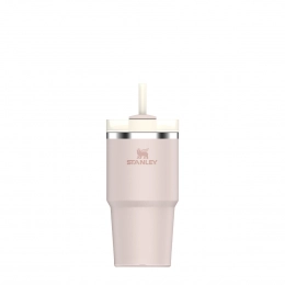 Stanley Quencher H2O FlowState 0.6 L