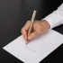 Fountain Pen Gear Icon Camel