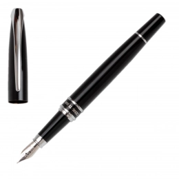 Fountain Pen with Silver Clip